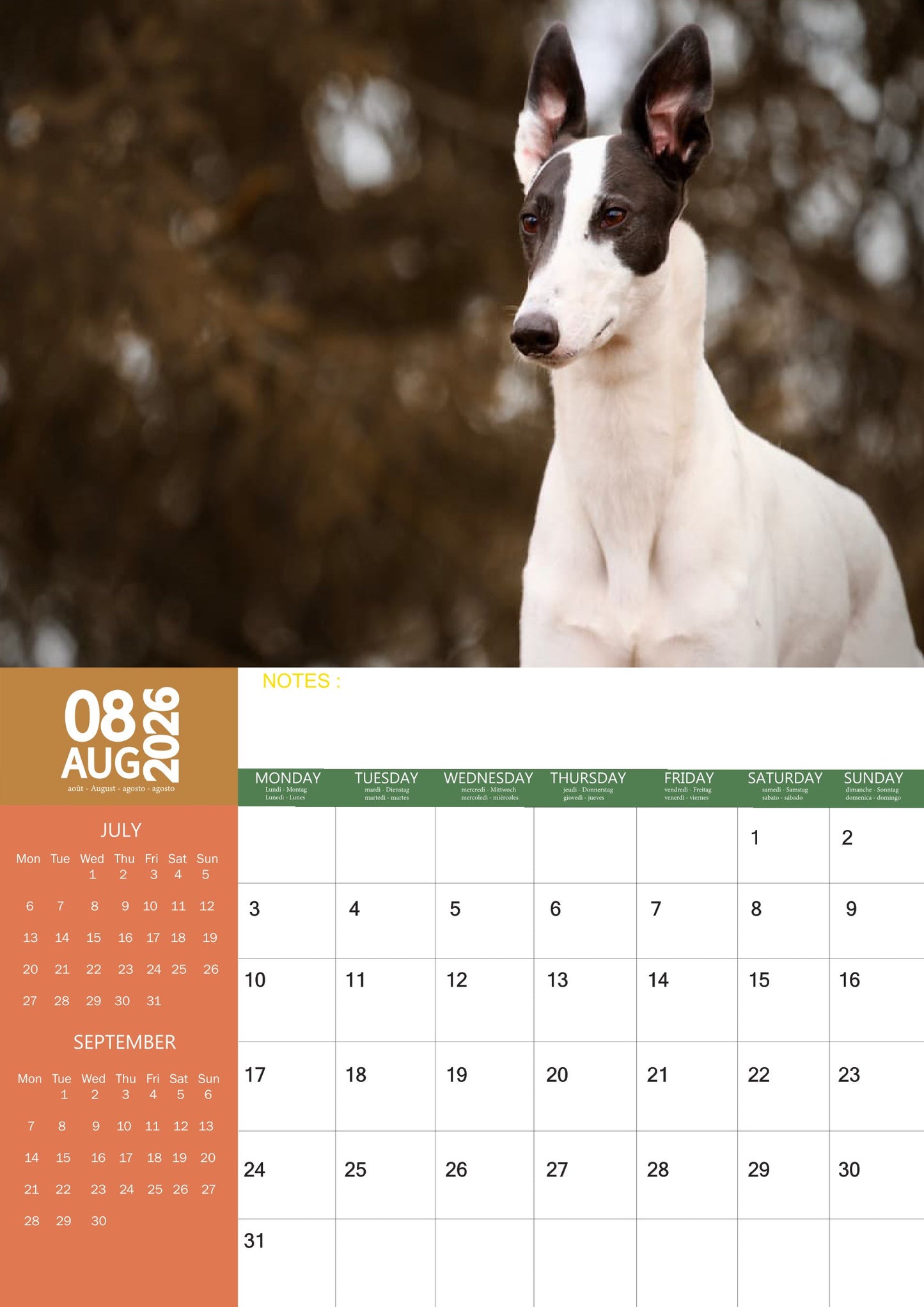 Lurcher Dog Calendar 2026 – M-PRA Range