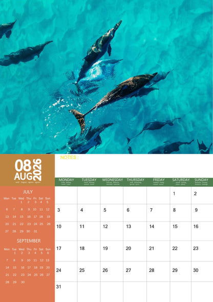 Dolphin Calendar 2026 – M-PRA Range