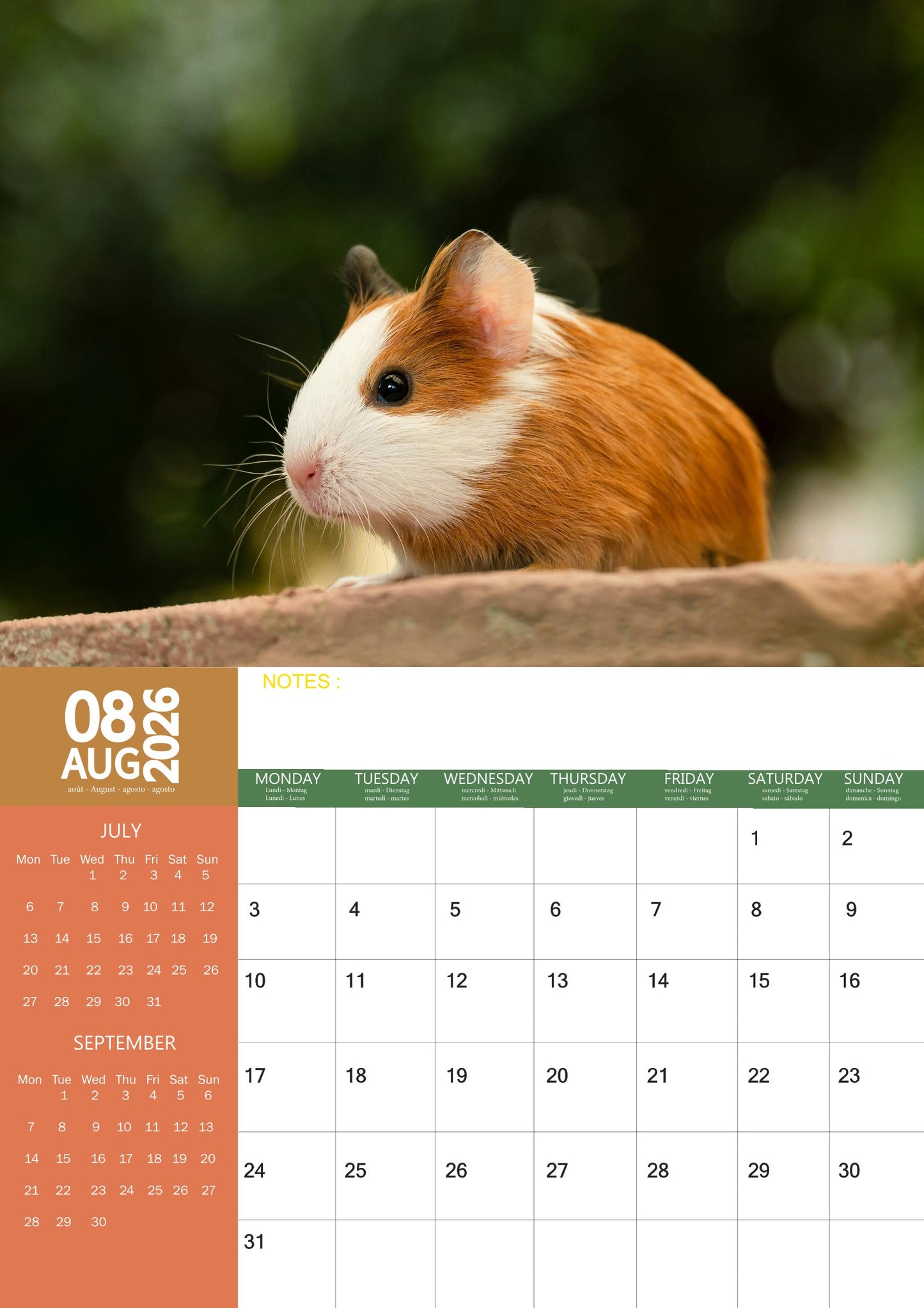 Guinea Pig Calendar 2026 – M-PRA Range