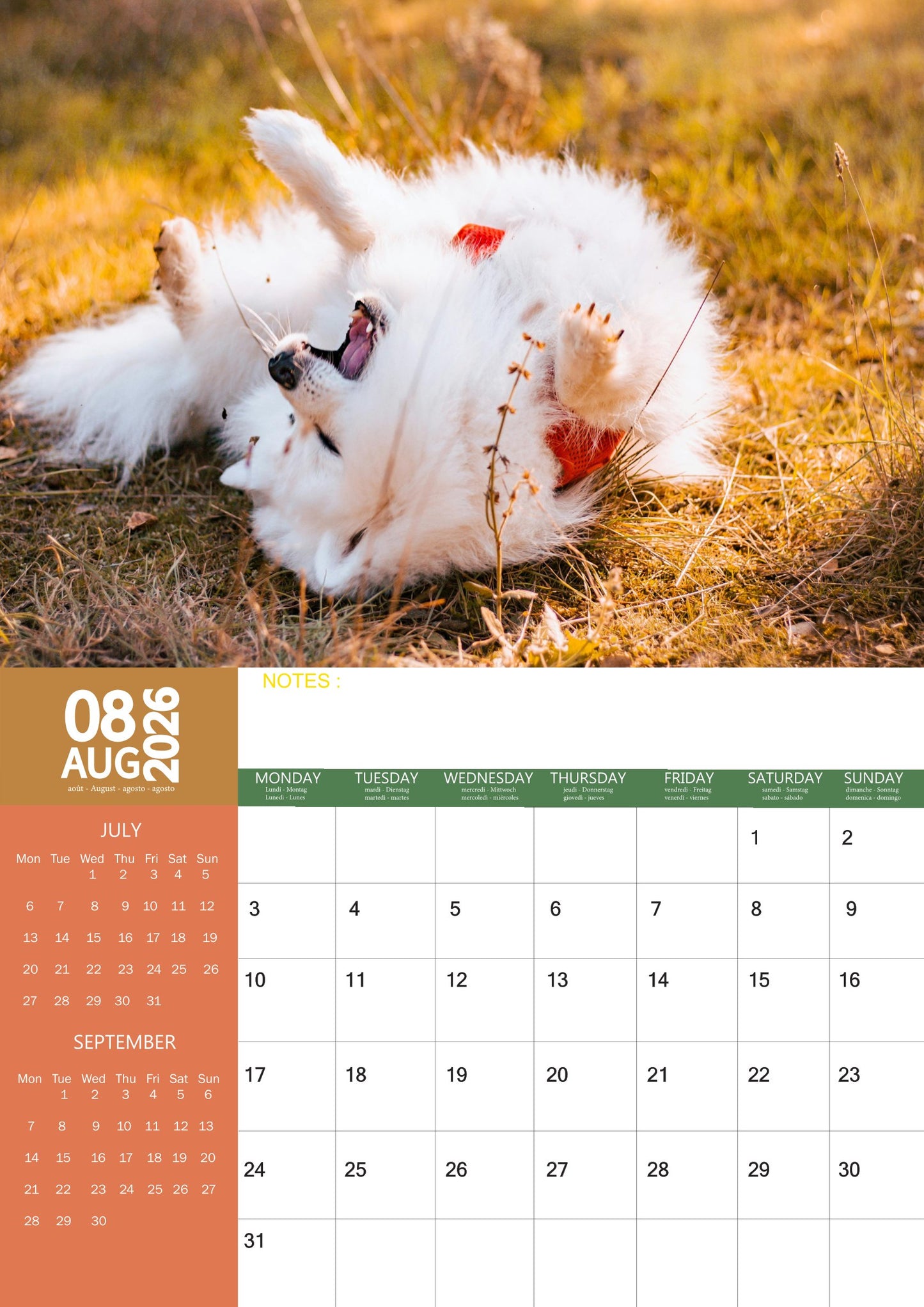 Samoyed Dog Calendar 2026 – M-PRA Range