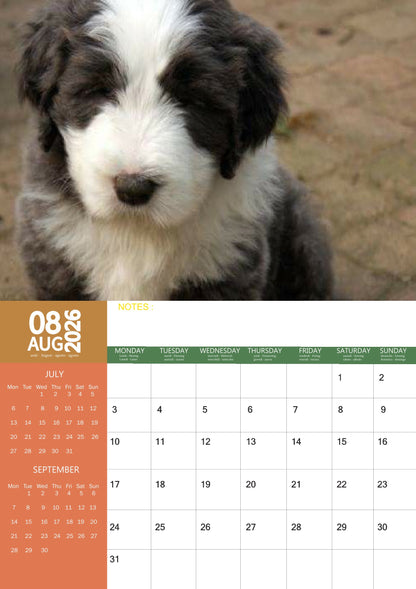 Bearded Collie Dog Calendar 2026 – M-PRA Range