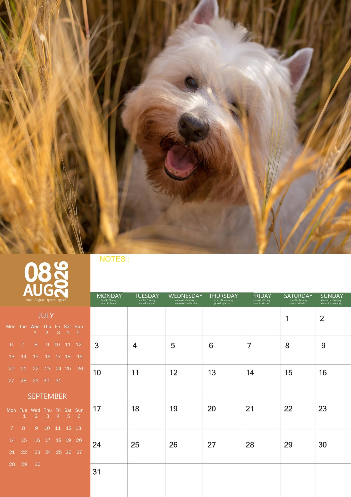 West Highland Terrier Dog Calendar 2026 – M-PRA Range