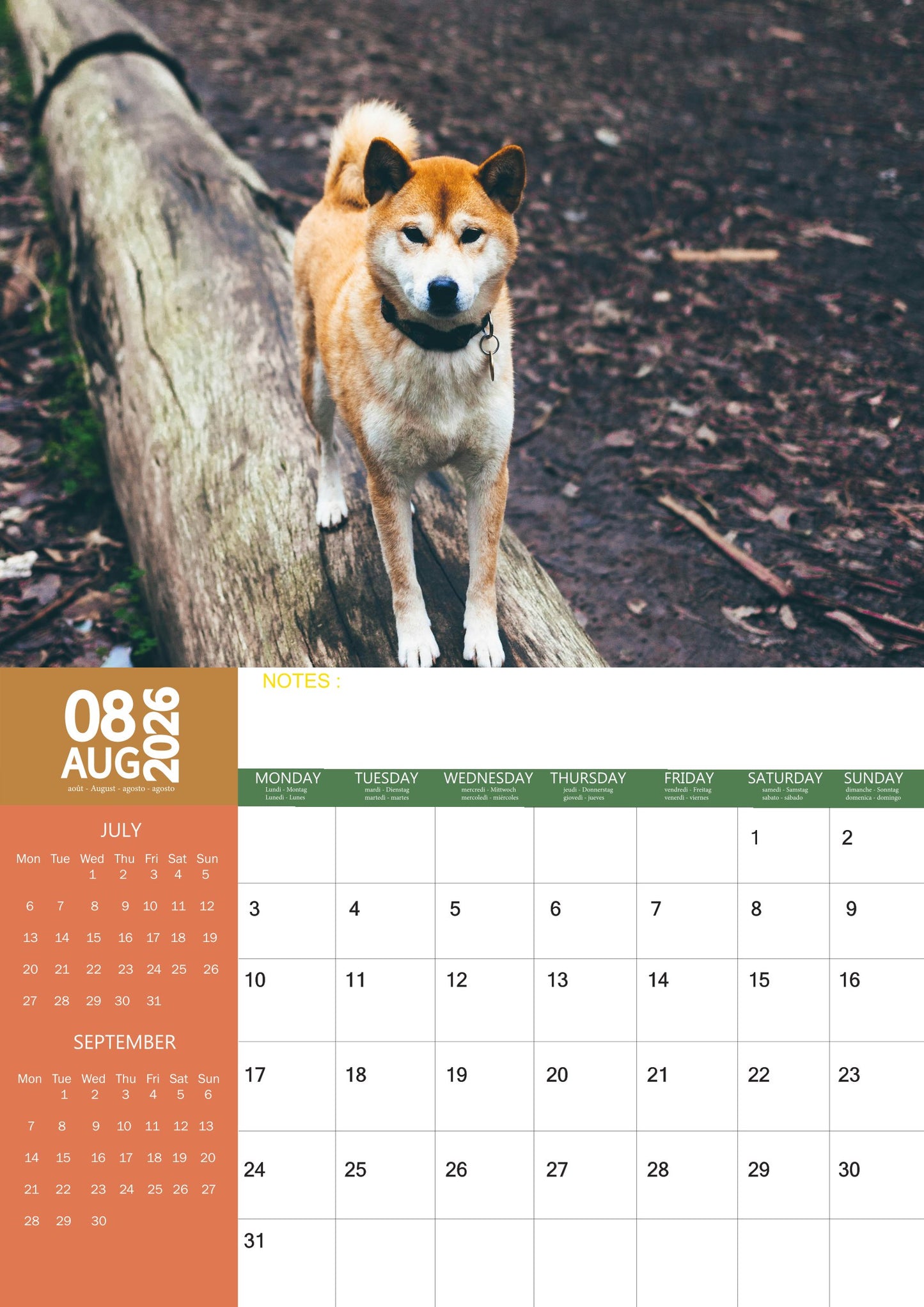 Shiba Inu Dog Calendar 2026 – M-PRA Range