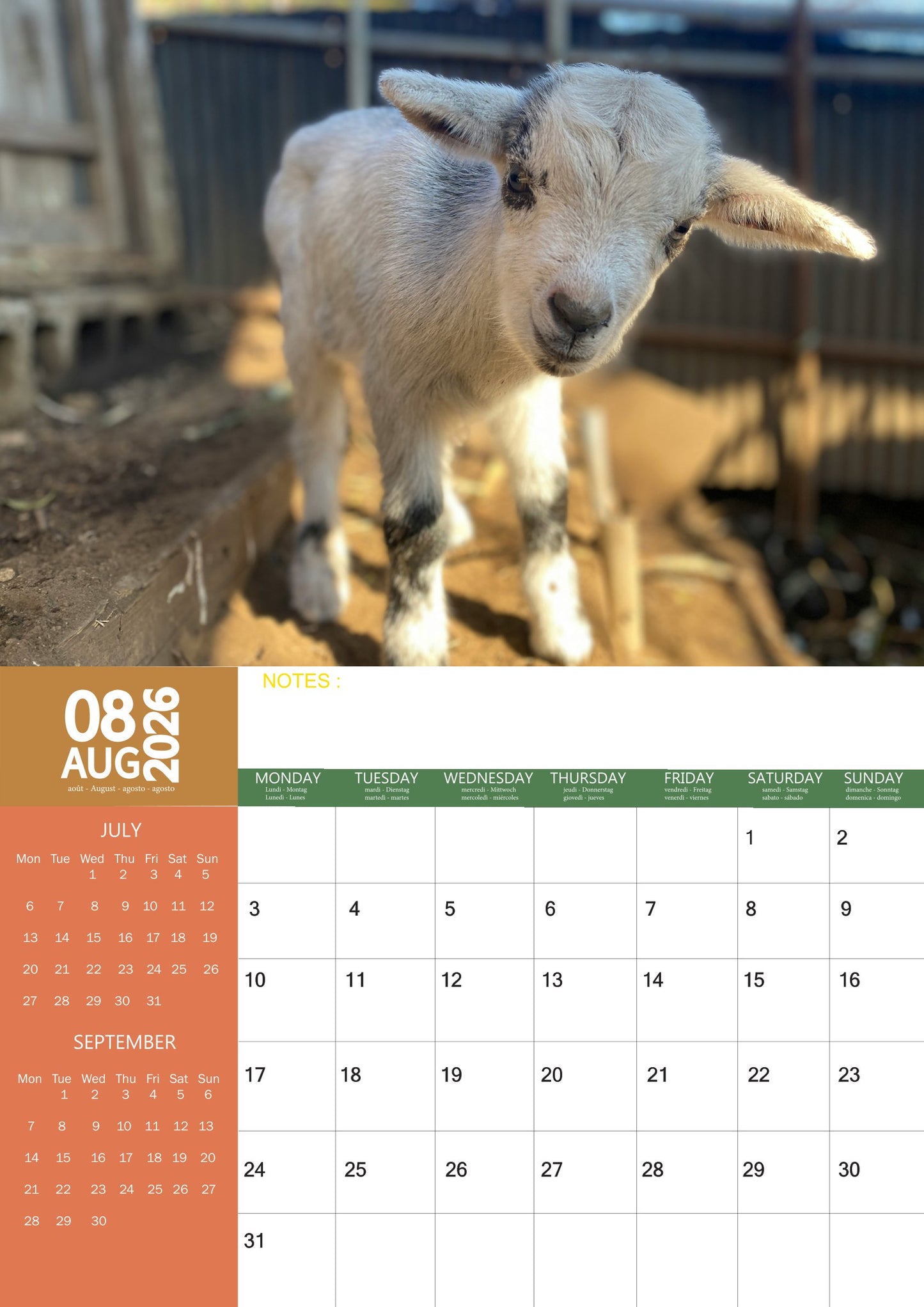 Baby Goats Calendar 2026 – M-PRA Range