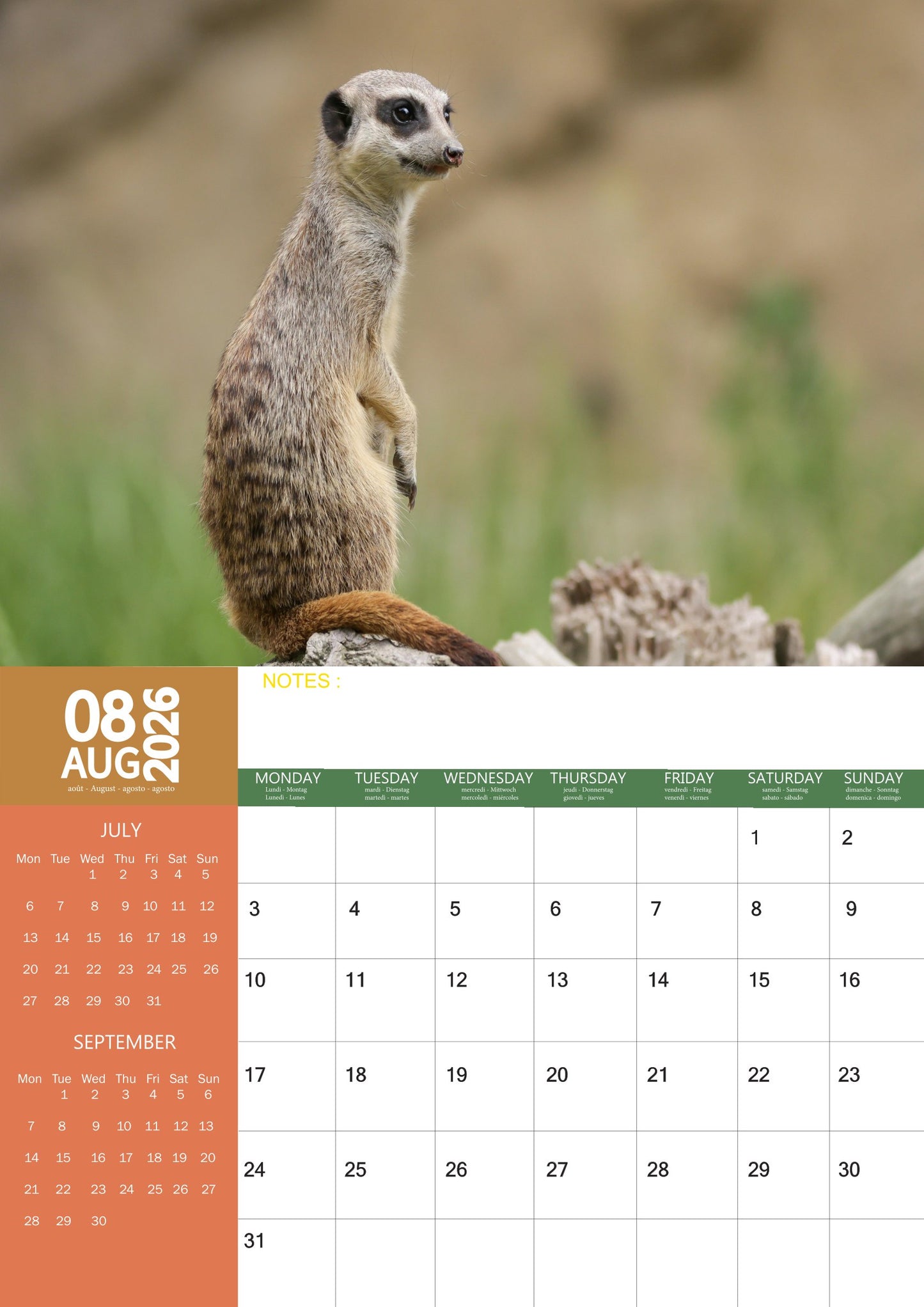 Meerkat Calendar 2026 – M-PRA Range