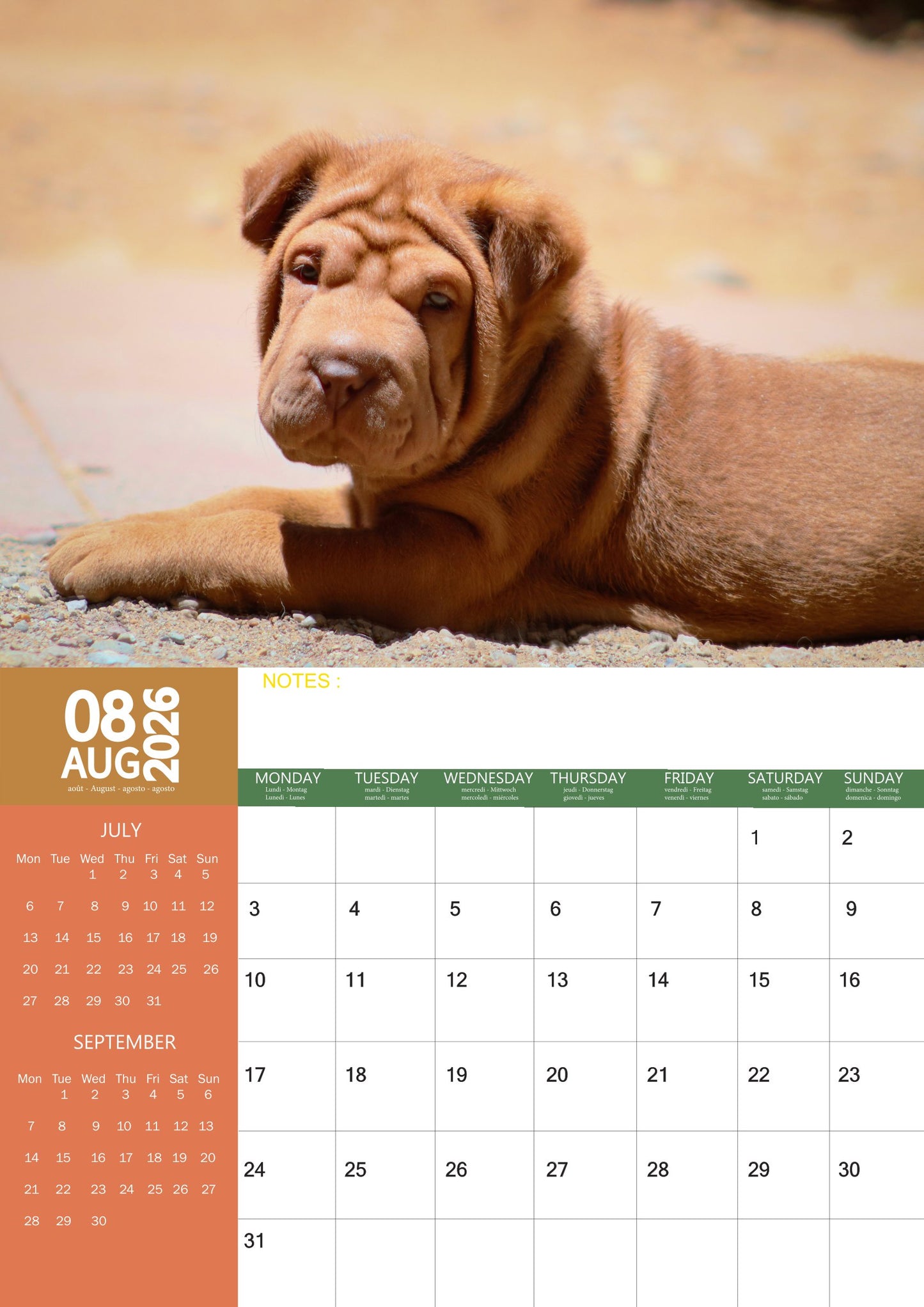 Shar Pei Dog Calendar 2026 – M-PRA Range