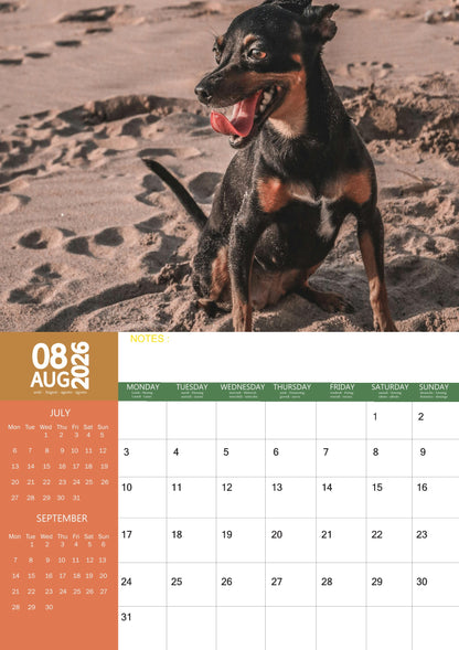 Miniature Pinscher Dog Calendar 2026 – M-PRA Range