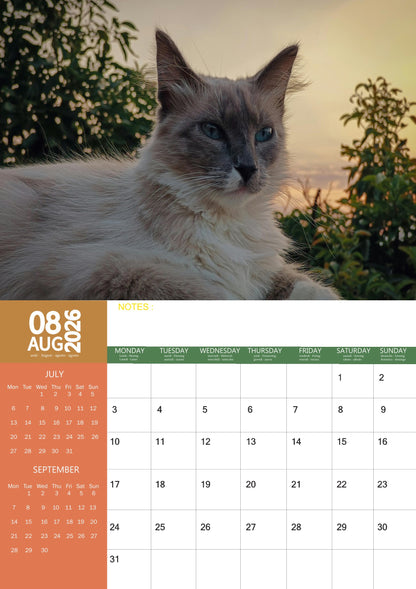 Ragdoll Cat Calendar 2026 – M-PRA Range