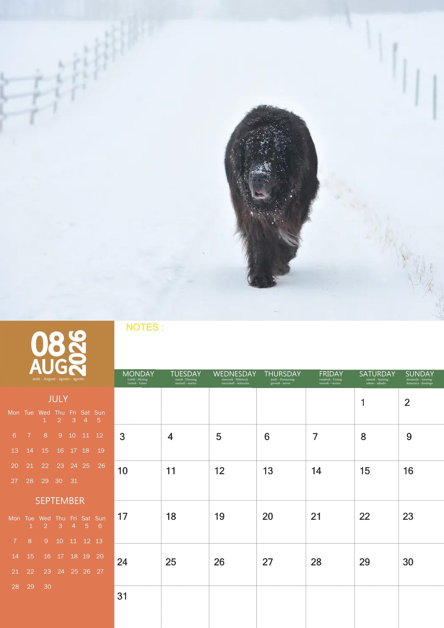 Newfoundland Dog Calendar 2026 – M-PRA Range