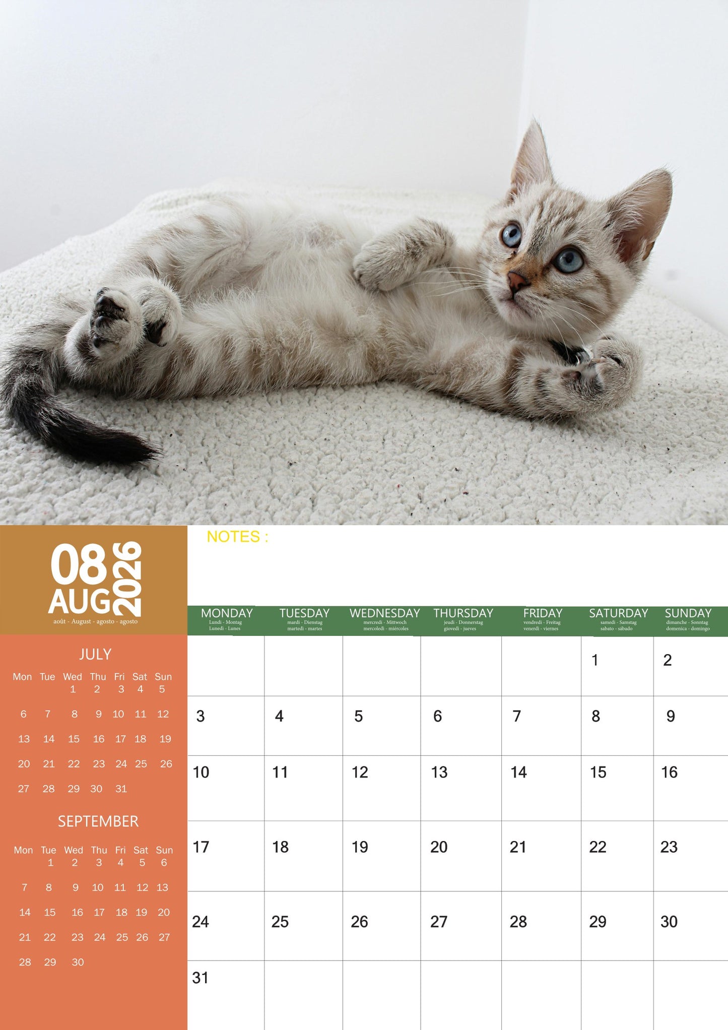 Kittens Cats Calendar 2026 – M-PRA Range