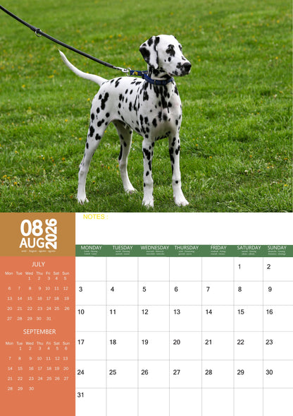 Dalmation Dog Calendar 2026 – M-PRA Range
