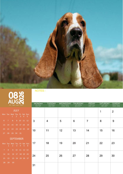 Basset Hound Dog Calendar 2026 – M-PRA Range