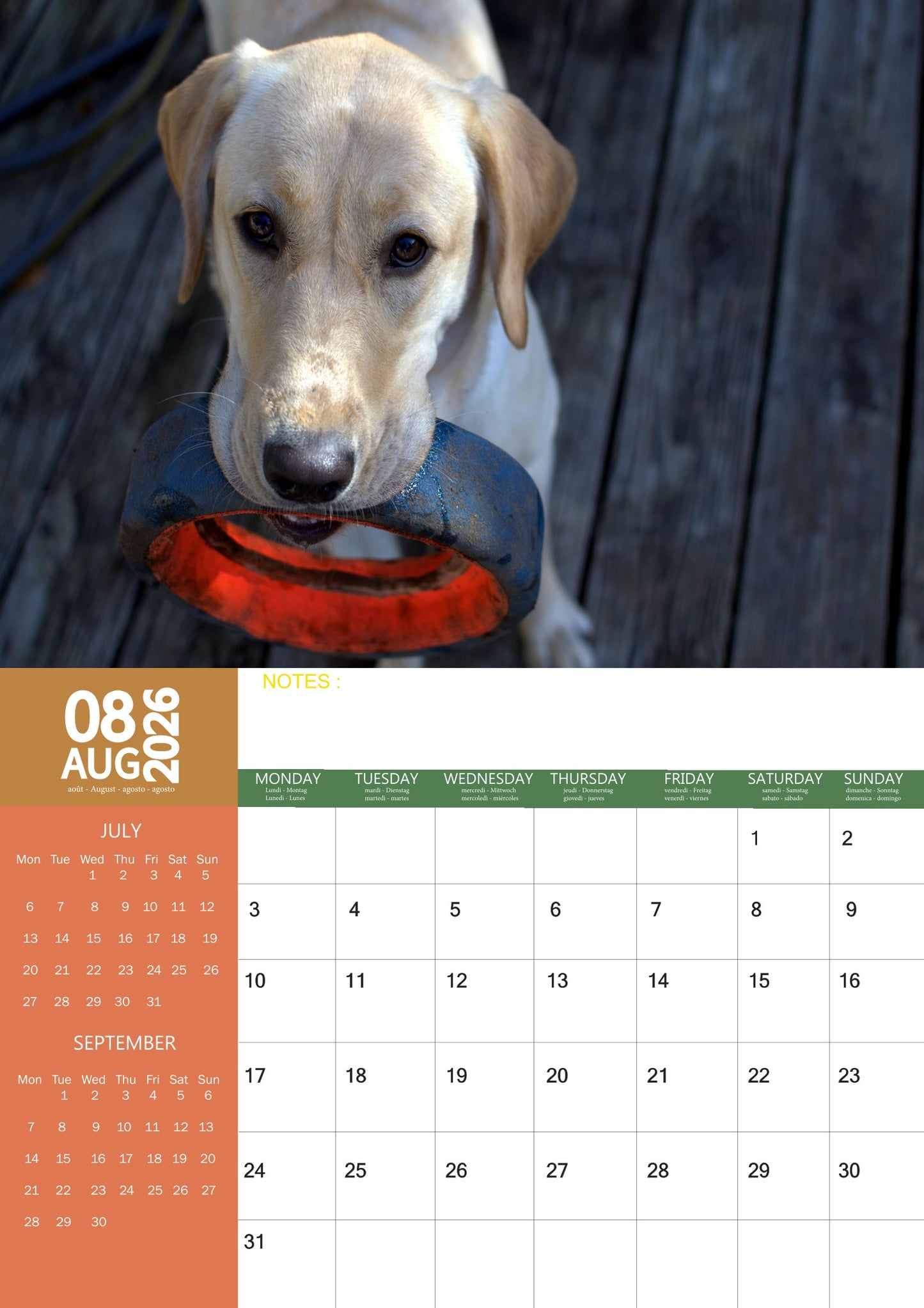 Labrador Retriever Dog Calendar 2026 – M-PRA Range
