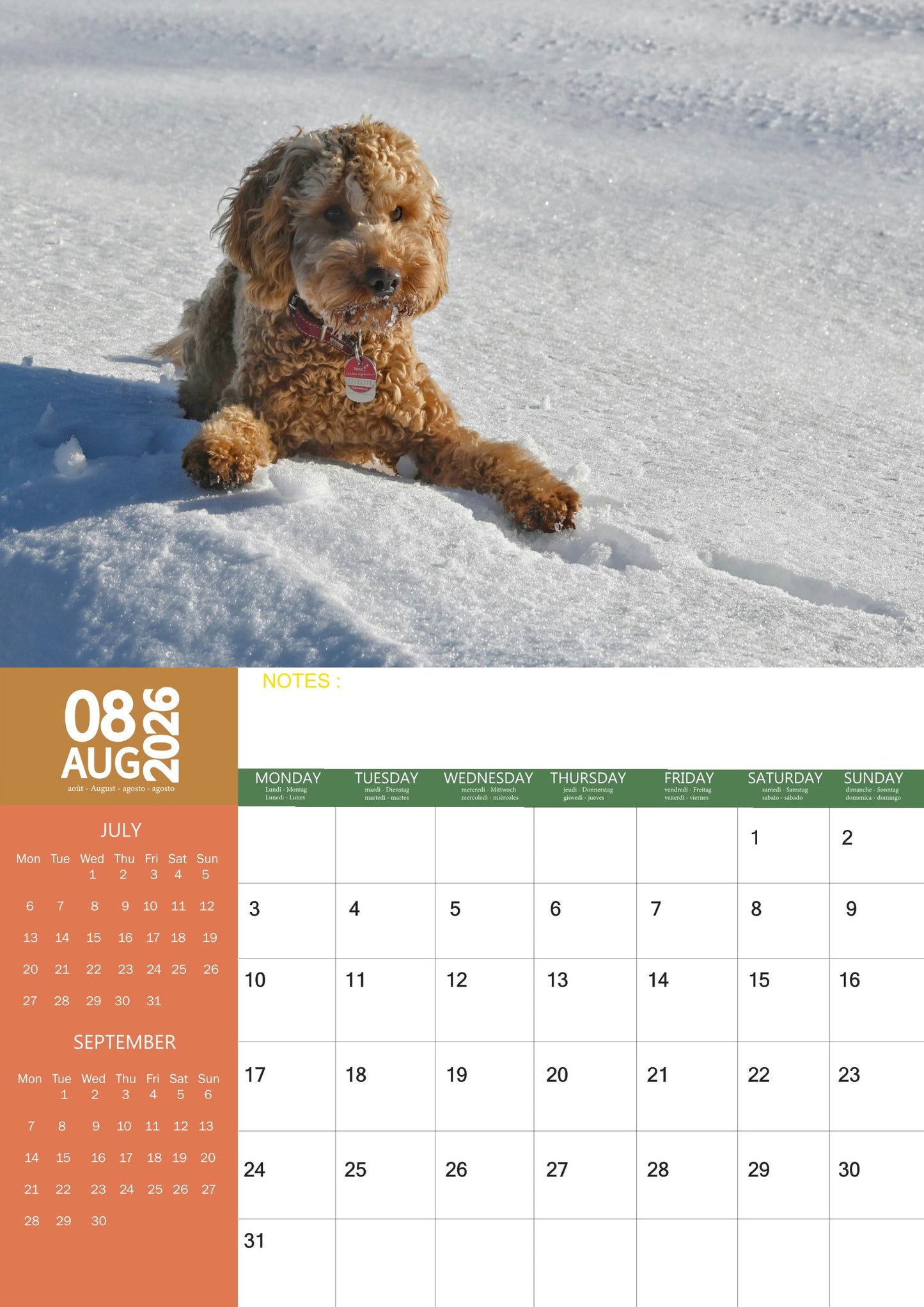 Cockapoo Dog Calendar 2026 – M-PRA Range