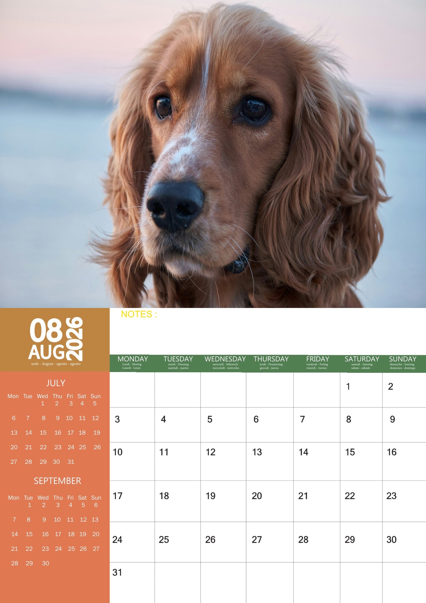 Cocker Spaniel Dog Calendar 2026 – M-PRA Range