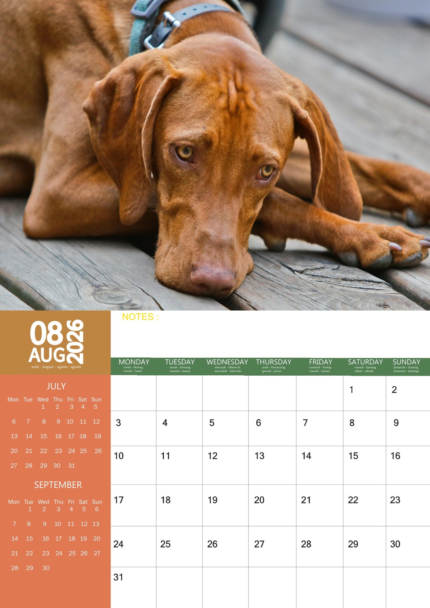 Vizsla Dog Calendar 2026 – M-PRA Range