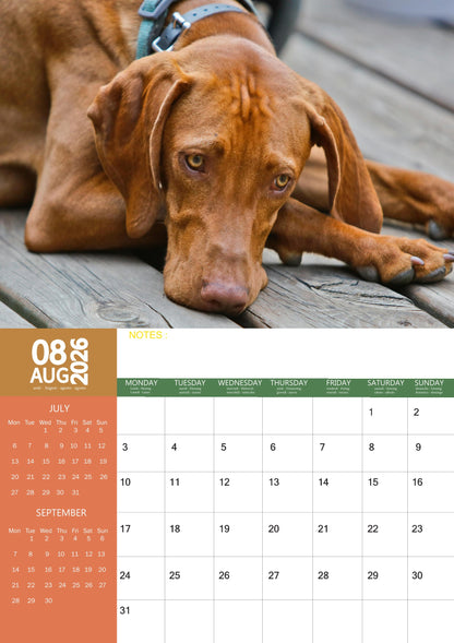 Vizsla Dog Calendar 2026 – M-PRA Range