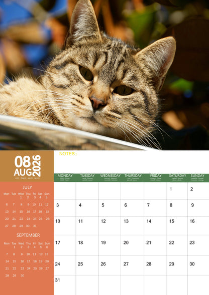 Tabby Cat Calendar 2026 – M-PRA Range
