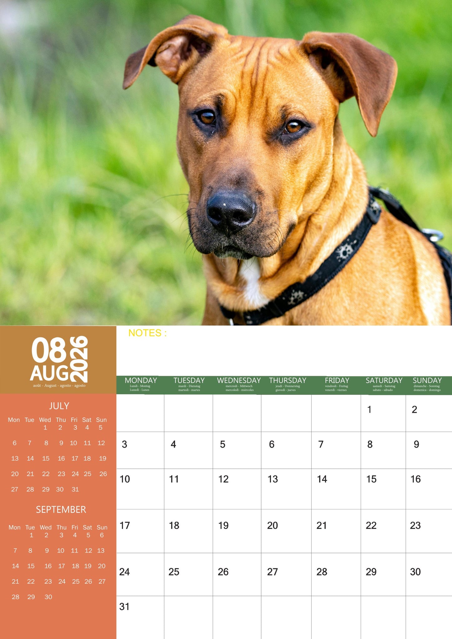 Rhodesian Ridgeback Dog Calendar 2026 – M-PRA Range
