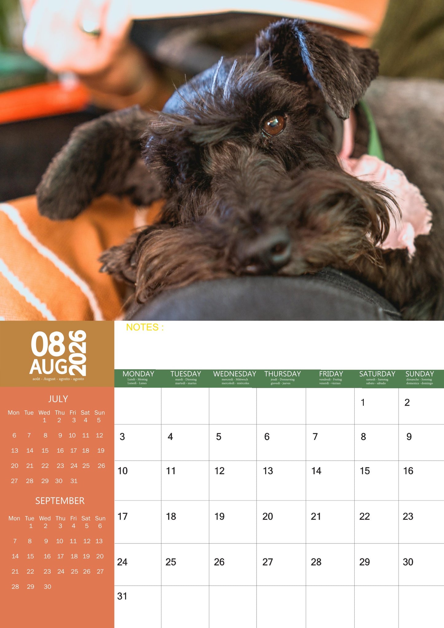 Scottish Terrier Dog Calendar 2026 – M-PRA Range