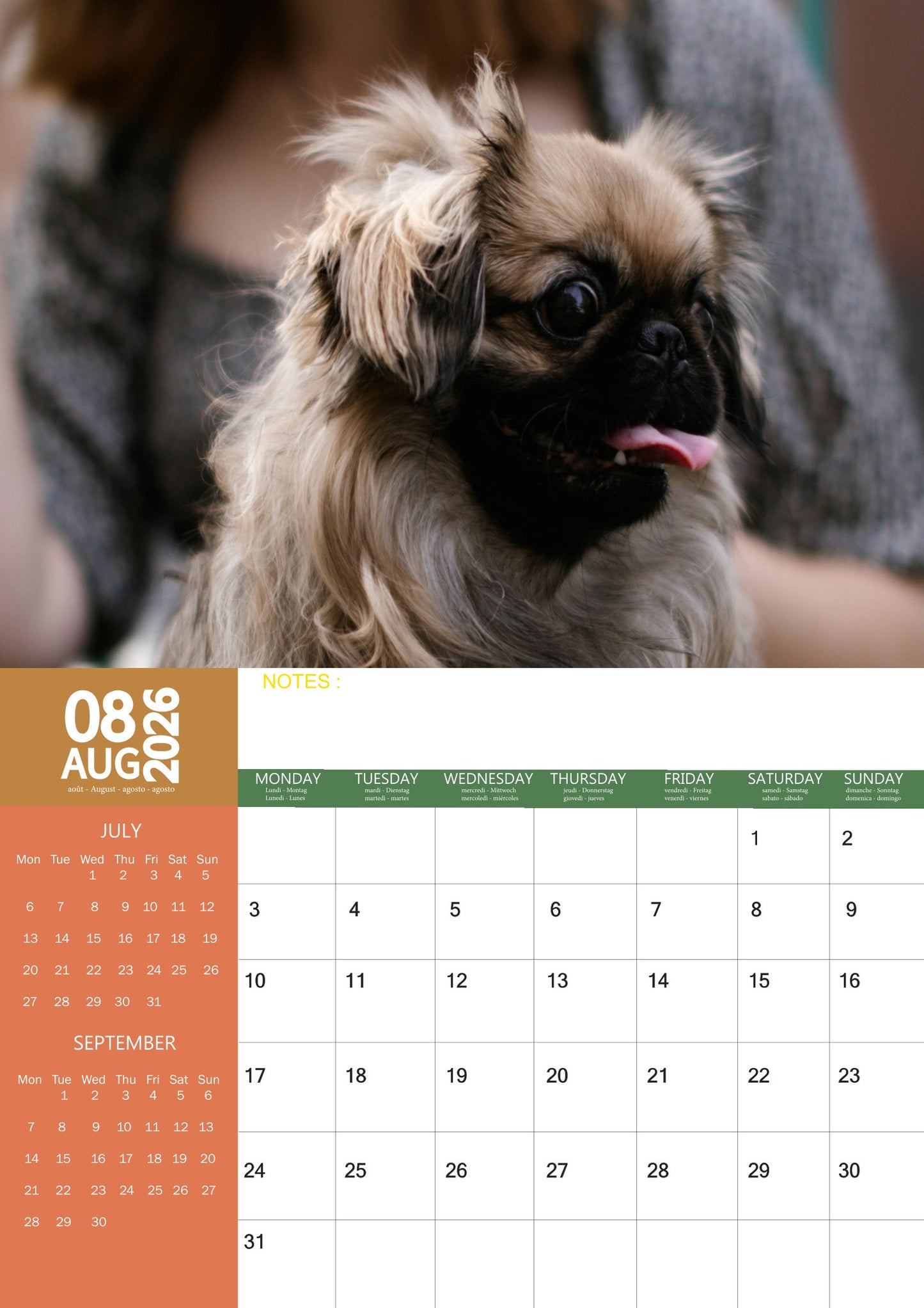 Pekingese Dog Calendar 2026 – M-PRA Range