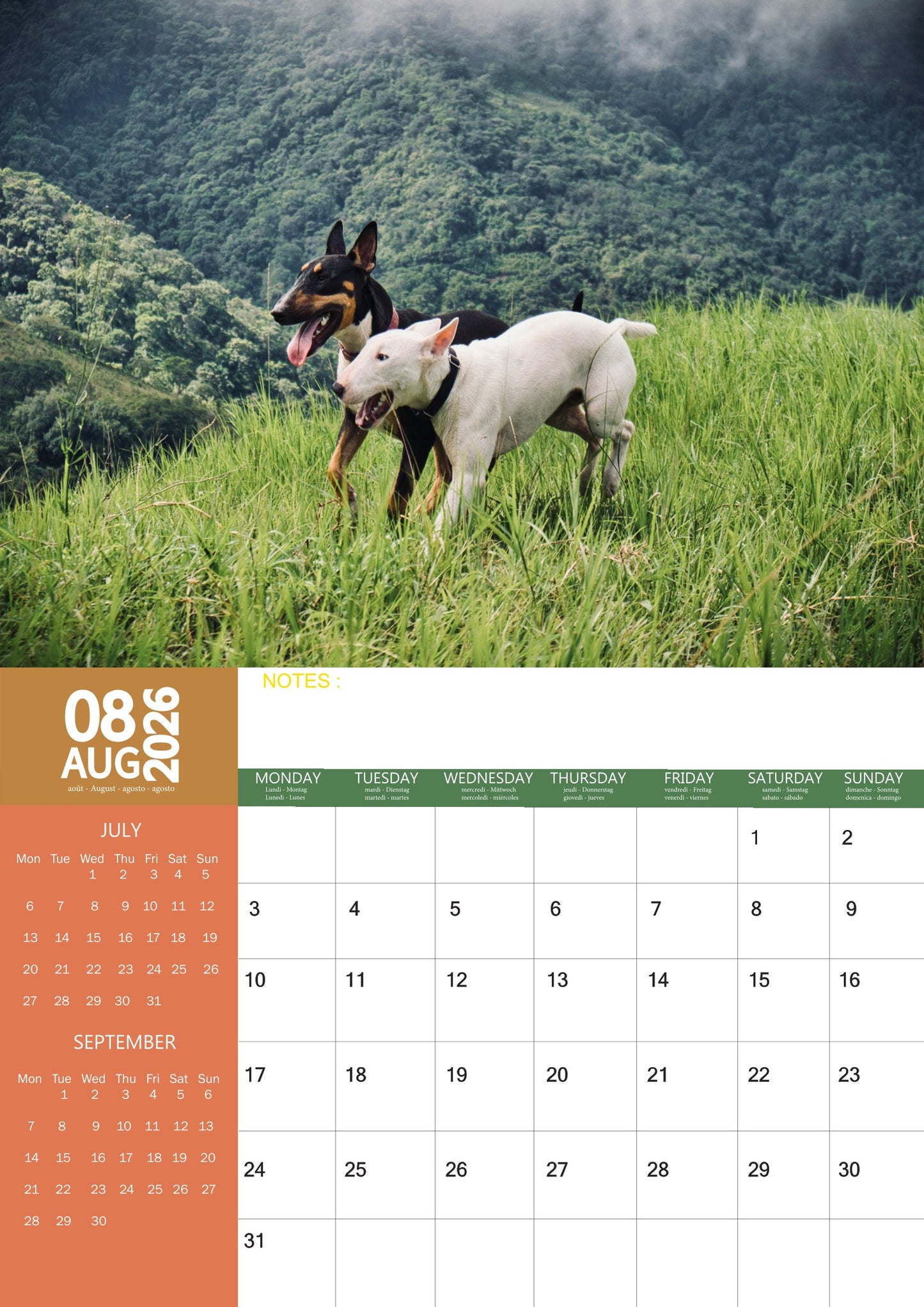Bull Terrier Dog Calendar 2026 – M-PRA Range