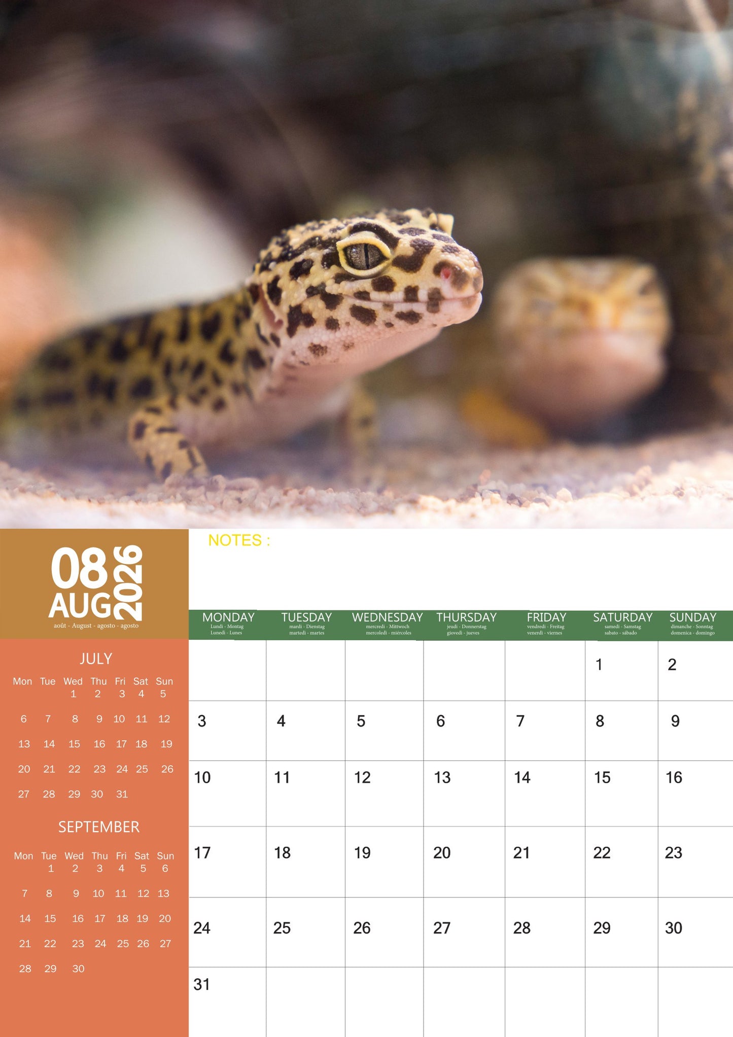 Lizard Calendar 2026 – M-PRA Range
