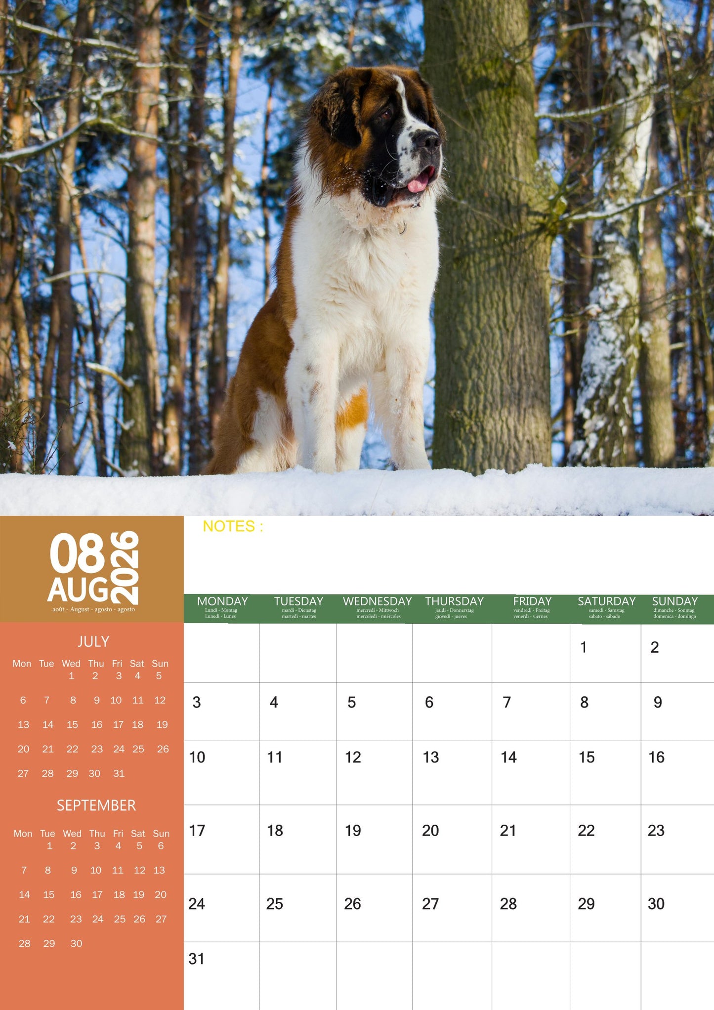 Saint Bernard Dog Calendar 2026 – M-PRA Range