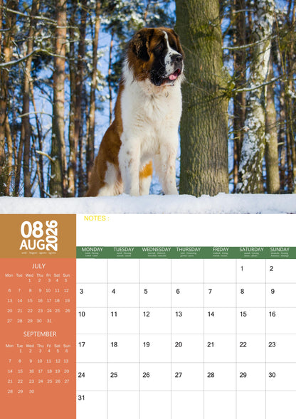 Saint Bernard Dog Calendar 2026 – M-PRA Range