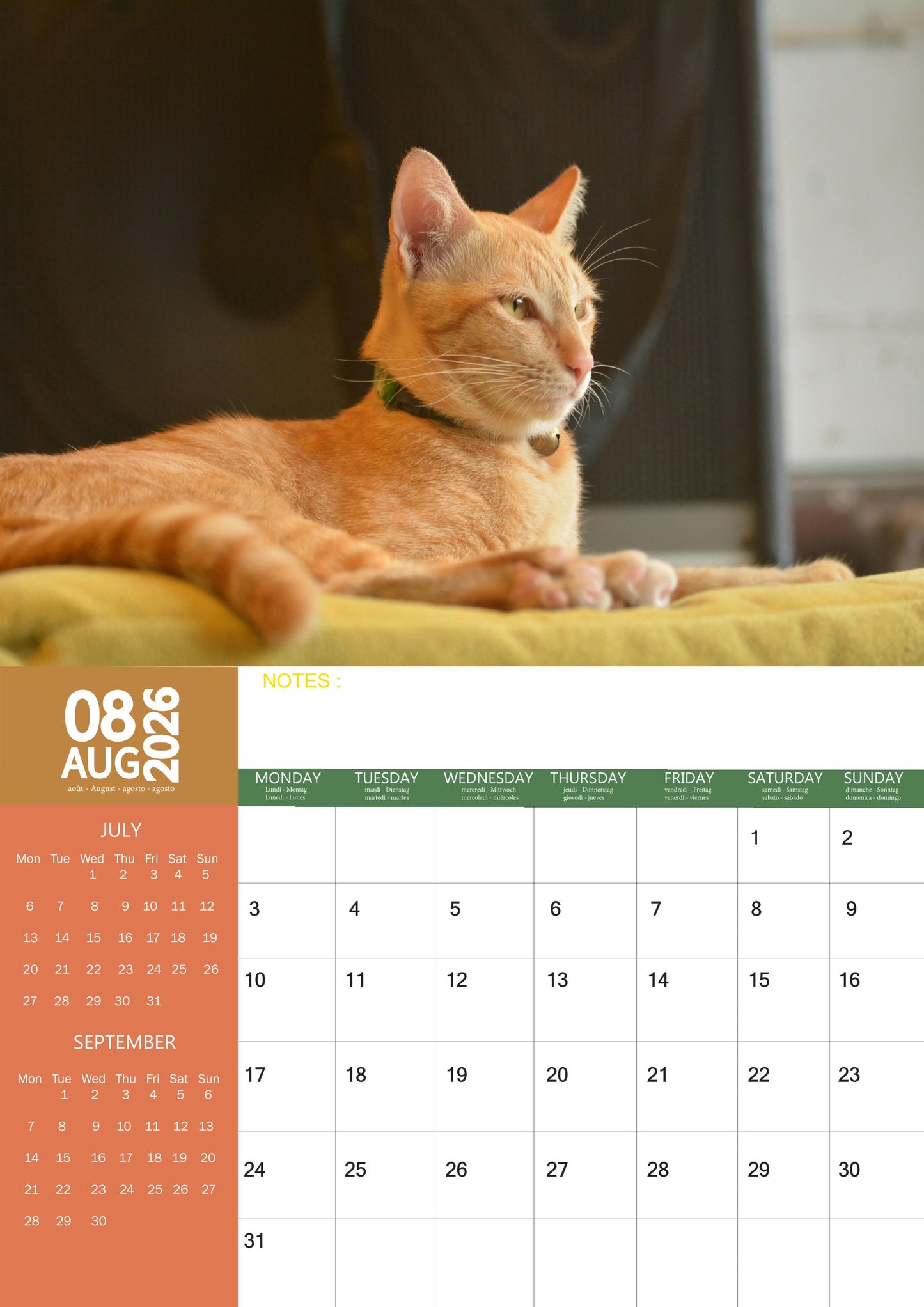 Ginger Cats Calendar 2026 – M-PRA Range
