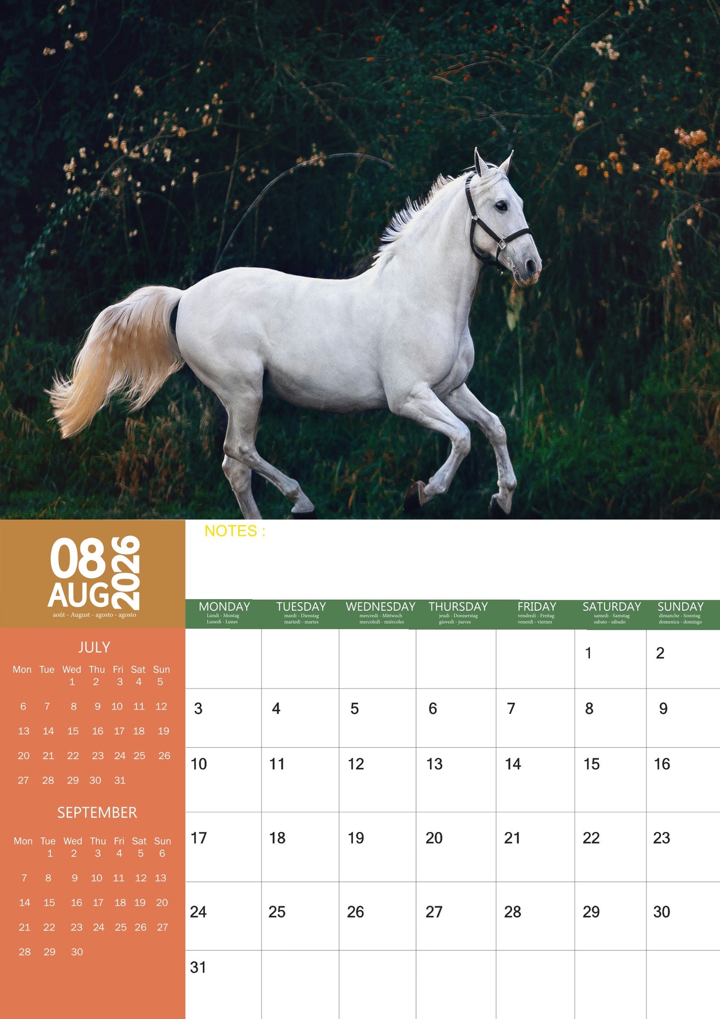 Horse Calendar 2026 – M-PRA Range