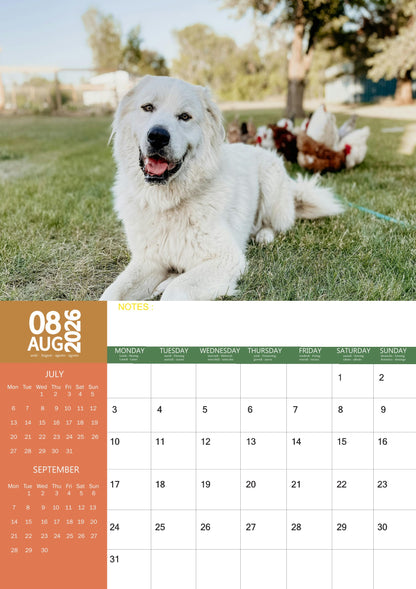 Great Pyrenees Dog Calendar 2026 – M-PRA Range
