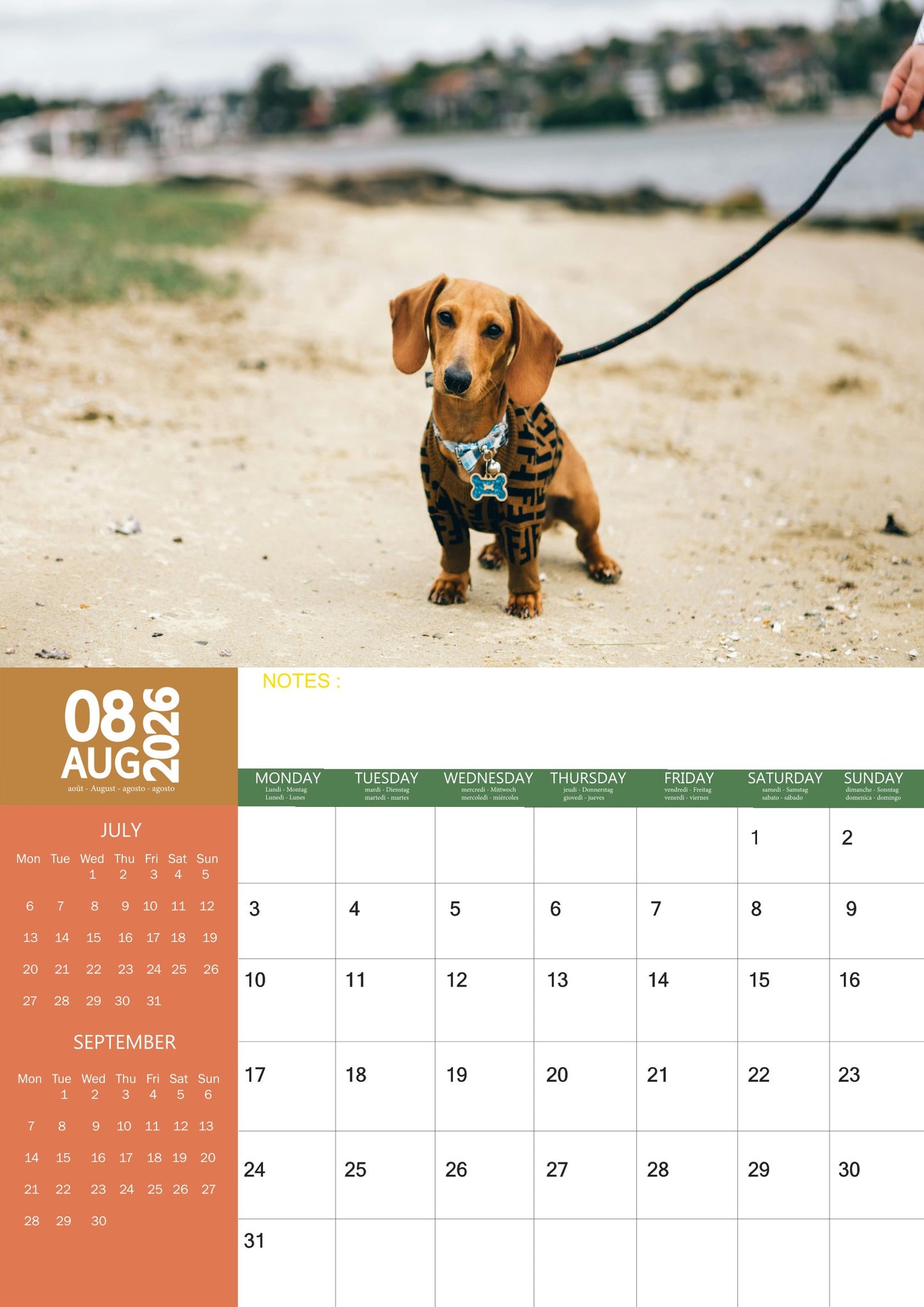 Dachshund Dog Calendar 2026 – M-PRA Range