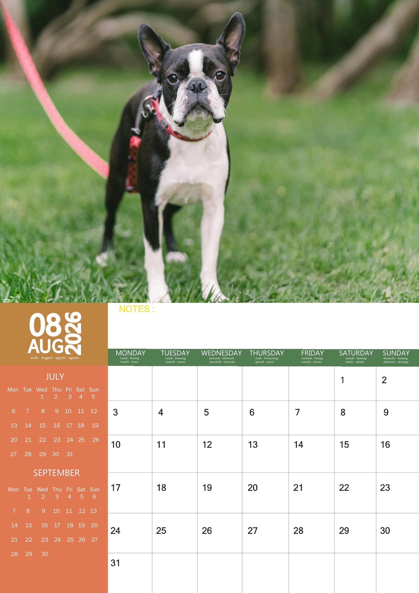 Boston Terrier Dog Calendar 2026 – M-PRA Range