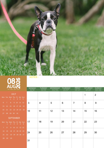 Boston Terrier Dog Calendar 2026 – M-PRA Range