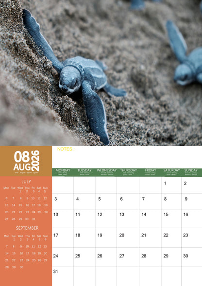 Turtles Calendar 2026 – M-PRA Range