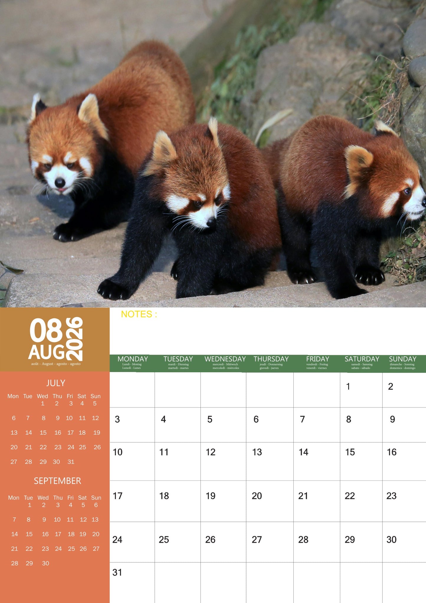 Red Panda Calendar 2026 – M-PRA Range
