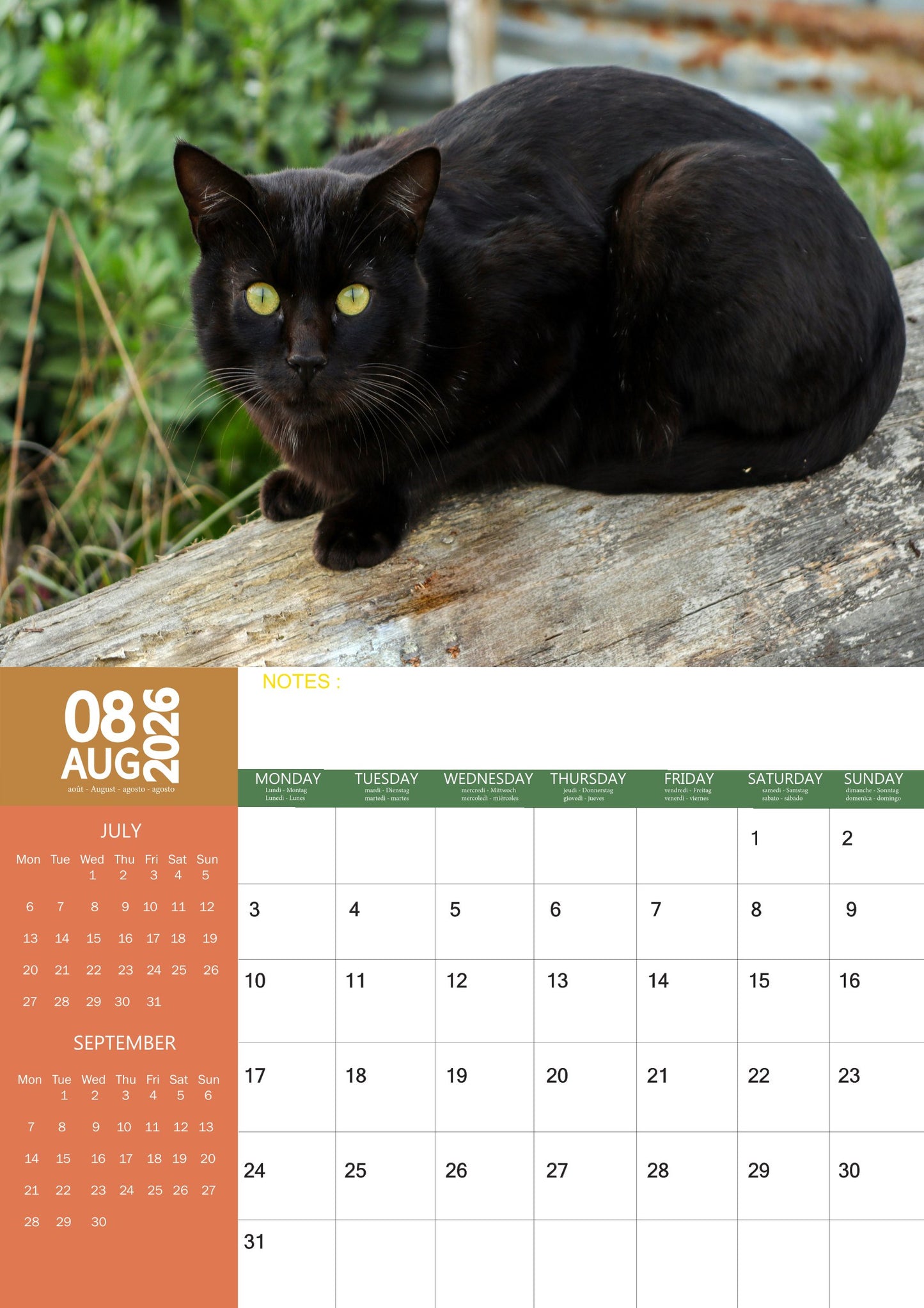 Black Cats Calendar 2026 – M-PRA Range