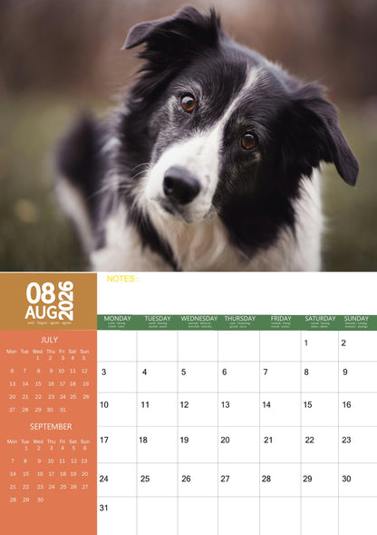 Border Collie Dog Calendar 2026 – M-PRA Range
