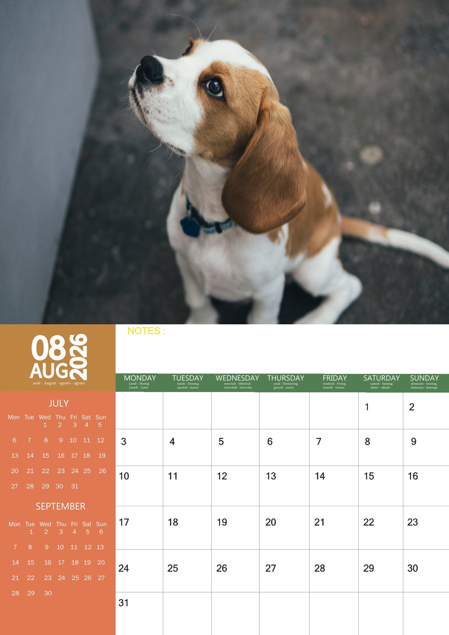 Brittany Dog Calendar 2026 – M-PRA Range