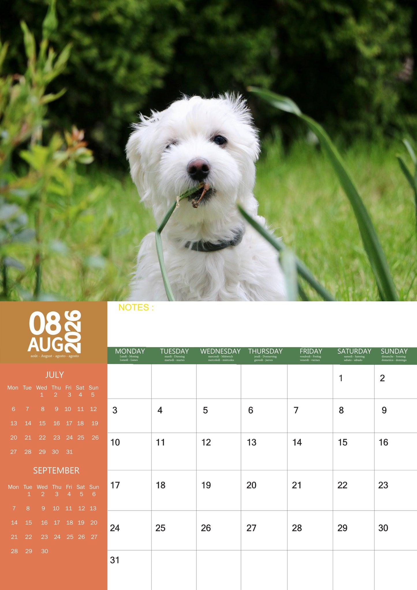 Maltese Dog Calendar 2026 – M-PRA Range