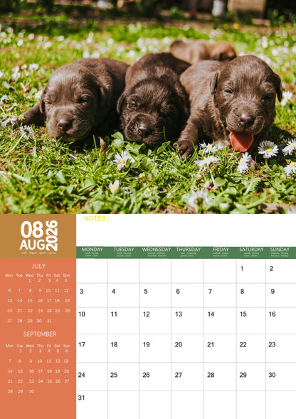 Labrador Retriever Chocolate Dog Calendar 2026 – M-PRA Range