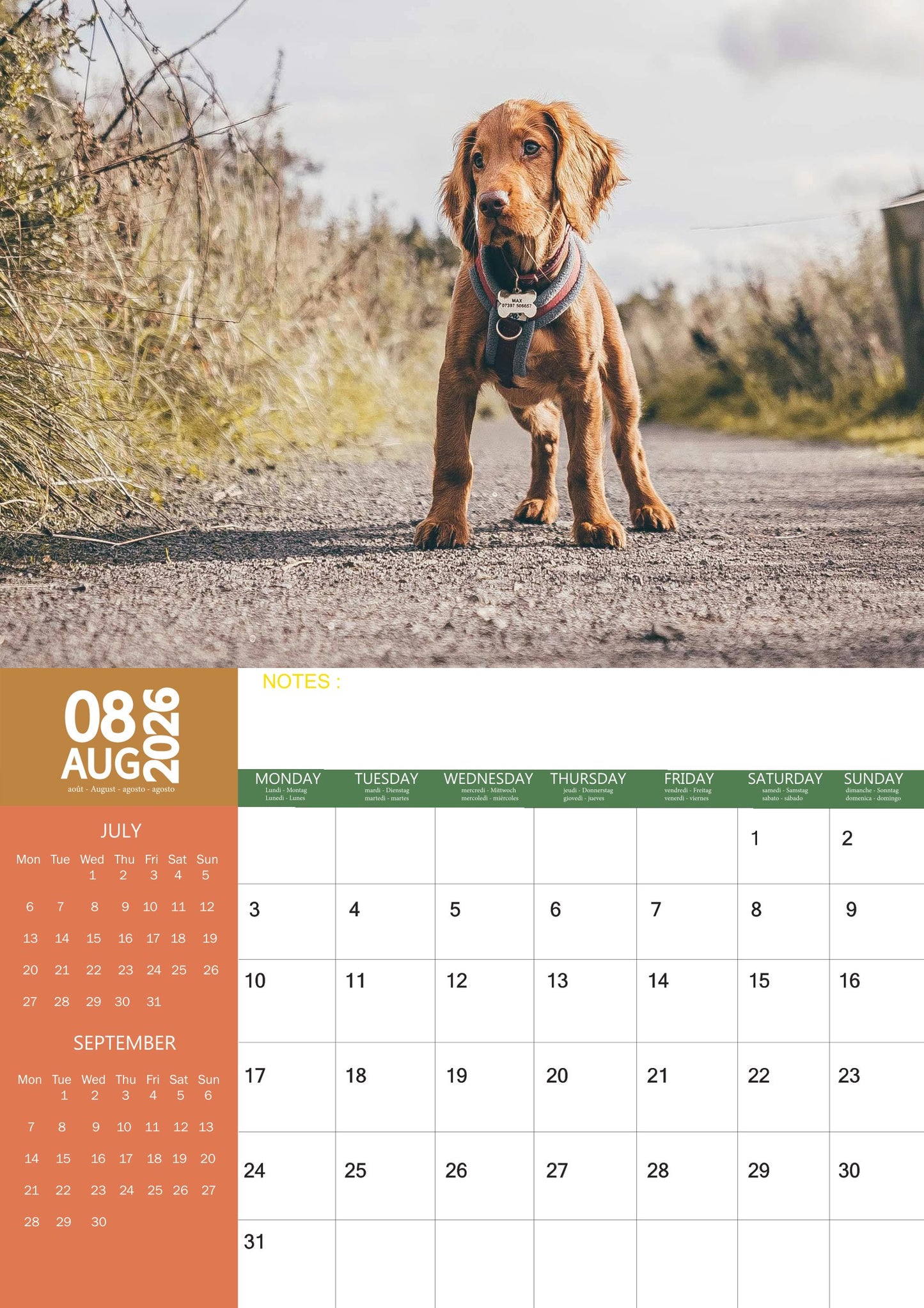 Irish Setter Dog Calendar 2026 – M-PRA Range