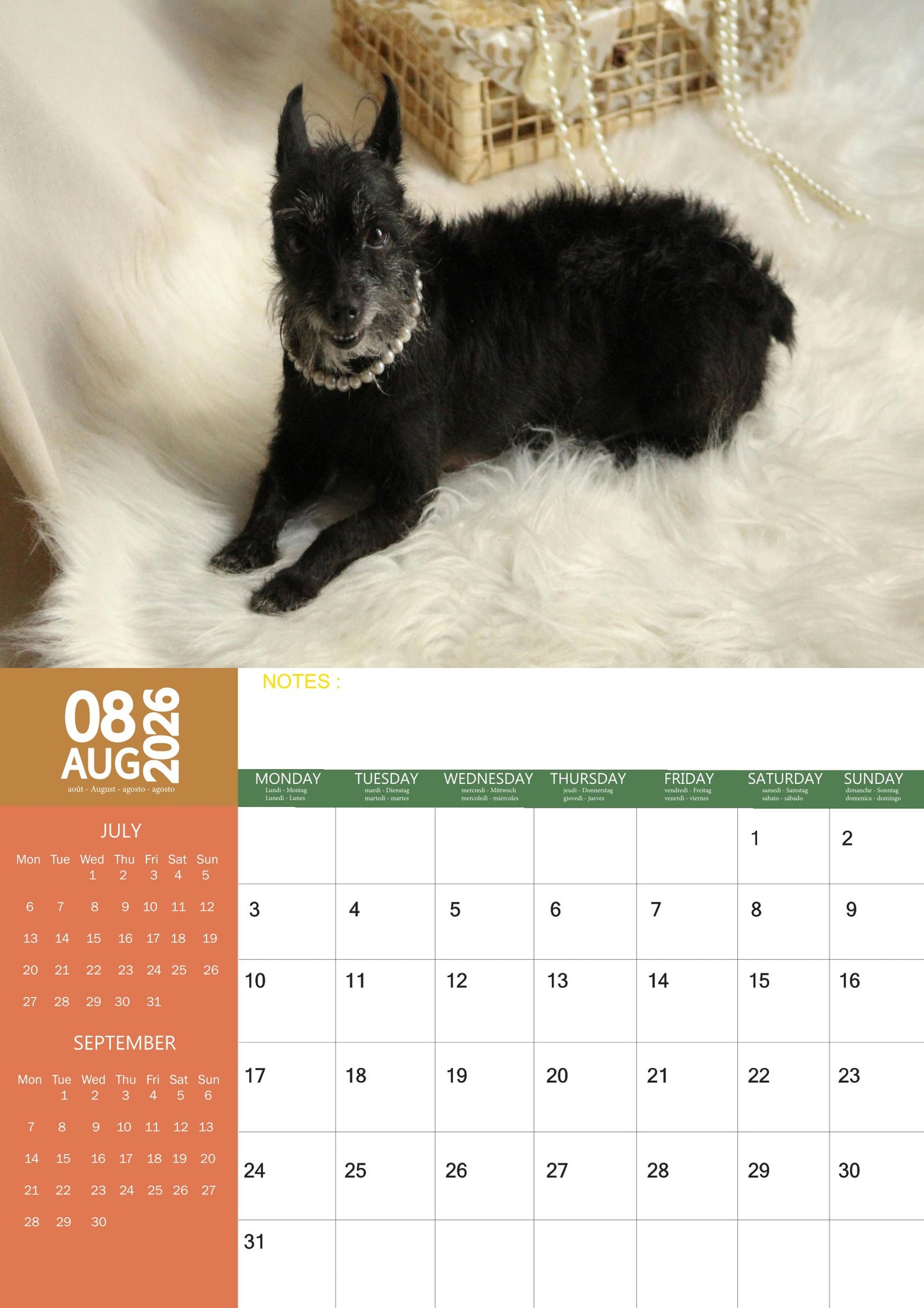 Miniature Schnauzer Dog Calendar 2026 – M-PRA Range