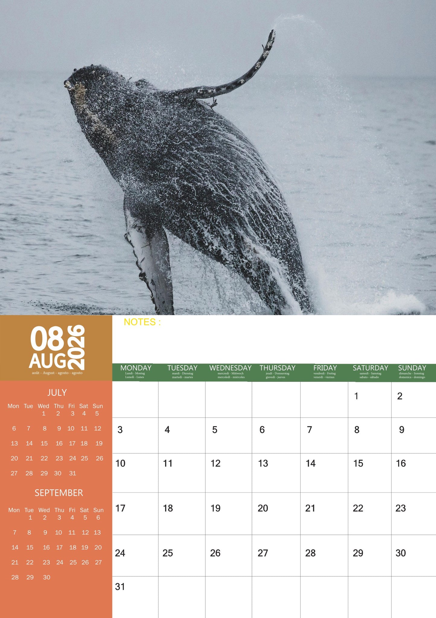 Whale Calendar 2026 – M-PRA Range