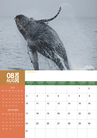 Whale Calendar 2026 – M-PRA Range