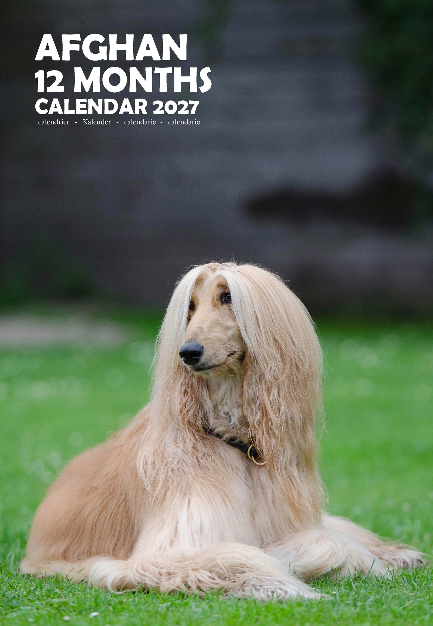 Afghan Dog Calendar 2027 – M-PRA Range