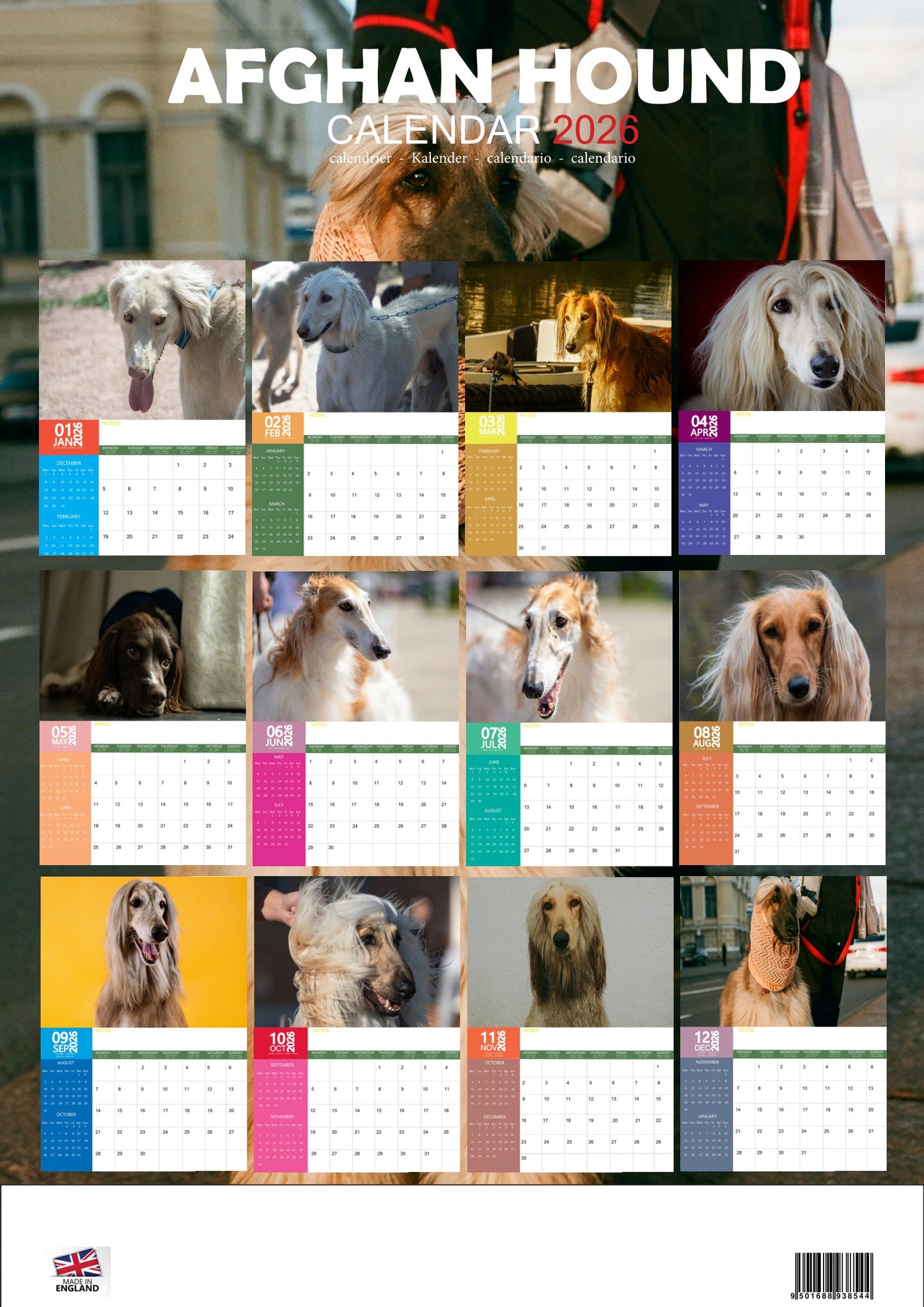 Afghan Hound Dog Calendar 2026 – M-PRA Range