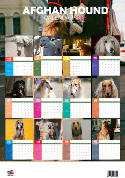 Afghan Hound Dog Calendar 2026 – M-PRA Range