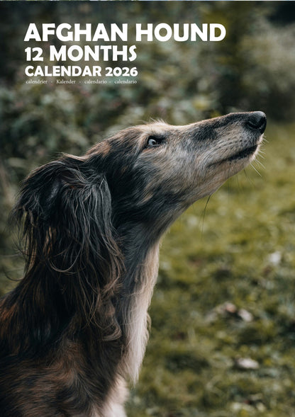 Afghan Hound Dog Calendar 2026 – M-PRA Range